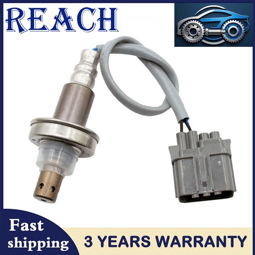 For 2007 suzuki grand - for,